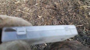 Тарантул Южнорусский или Мизгирь / Поймал огромного паука