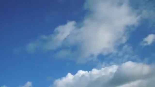 flor de fuego (la vida volar) (ludo vandeau et bodixel) смотреть онлайн