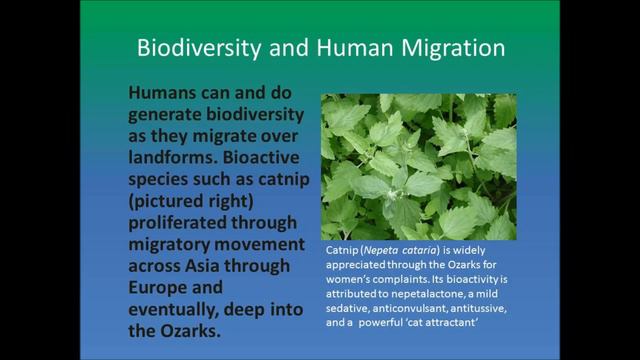 Pennyroyal, Persimmons, and Pawpaws смотреть онлайн