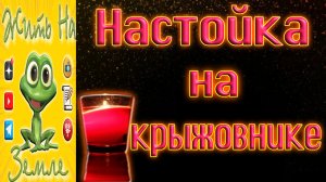 Настойка на крыжовнике. Женщинам очень нравится..mp4