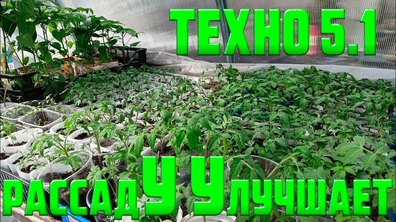 САДИМ КАРРТОШКУ ПОД ТЕХНО 5.1 ГОВОРЯТ ЛУЧШЕ ПРИЖИВАЕТЬСЯ!