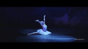 26. Балет Лебединое озеро - Умирающий лебедь. Russian Ballet