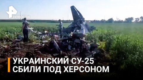 Кадры со сбитым украинским Су-25 в Херсонской области показали СМИ / РЕН Новости
