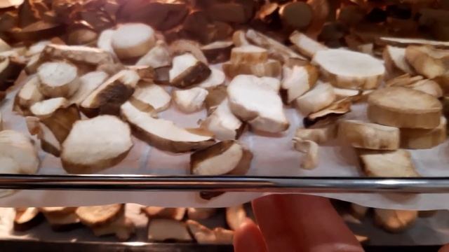 Сушка грибов в духовке первый раз.мои выводы. смотреть онлайн