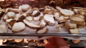 Сушка грибов в духовке первый раз.мои выводы.