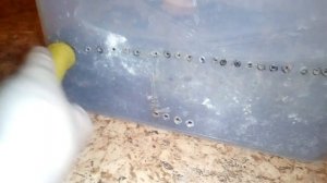 ВЕНТИЛЯЦИЯ В КОНТЕЙНЕРЕ/ КАК ДЕЛАТЬ ВЕНТИЛЯЦИЮ * Улитка Ахатинка*