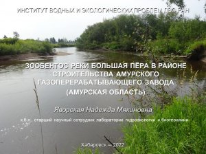 Доклад гидробиолога Надежды Яворской о состоянии р. Б. Пера в районе строительства Амурского ГПЗ