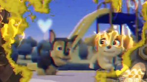 💞Гонщик и Скай💞(мама, я влюбилась в него)~для канала Скай Зик~💞Shase and Skye💞