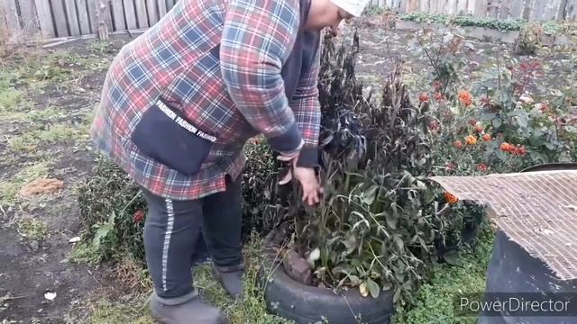 Вечером в деревне ? А работа НЕ заканчивается ? Деревенские будни ? смотреть онлайн