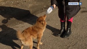 Новомалороссийская | Народные новости