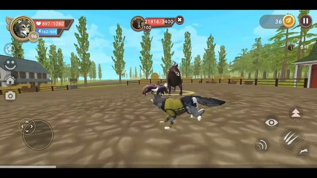 Охота на быка в Вайлдкрафт. Волк. смотреть онлайн