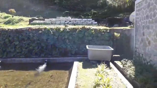 ||SIKKIM(Part-3)|| смотреть онлайн