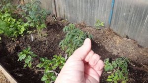 Как сохранить идеально чистые руки работая на огороде!