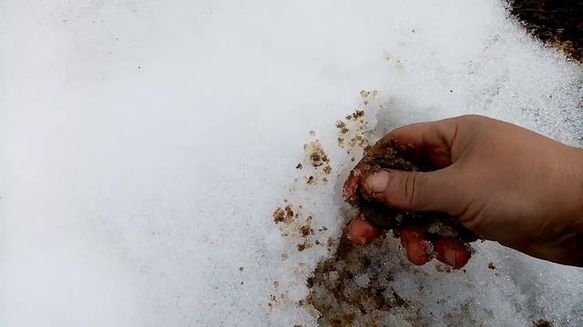 Коп монет,3 часа поиска. (3 Stunden suchen.) смотреть онлайн