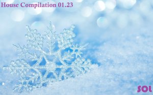 Sound of Life - House Compilation 01.23