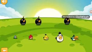 Angry Birds Golden Eggs - как пройти трехзвездочные уровни