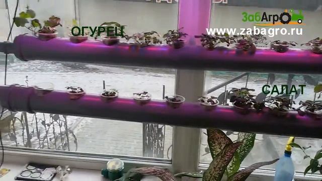 Аквапоника своими руками. смотреть онлайн