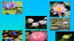 Презентация на тему Работа с бумагой и картоном