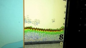 TROLLING. Воблеры для ловли судака на Ладоге по итогам  2019 года