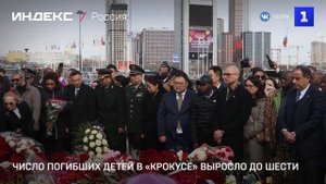 Число погибших детей в «Крокусе» выросло до шести
