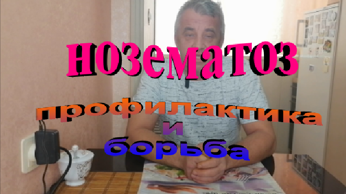 Нозематоз у пчел. Меры профилактики и борьбы с инфекцией смотреть онлайн