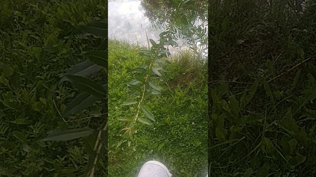 Отдыхаем в Лос Анджелесе смотреть онлайн