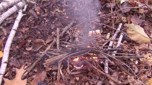 Бушкрафт строю укрытие и готовлю чай смотреть онлайн