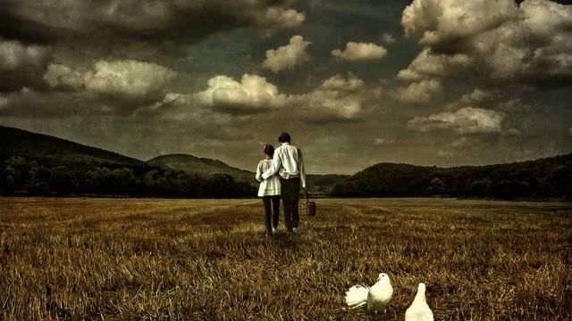 Песня Ello. Просто хит! Это стоит увидеть! смотреть онлайн