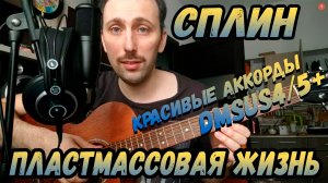 Как играть Сплин - Пластмассовая жизнь на Гитаре. Аккорды. Разбор