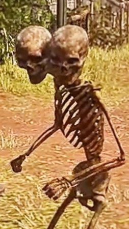 Red Dead Redemption 2 Holy Jesus What IS That WTF Is That #Shorts #RDR2 #Skeleton #WTF #HolyJesus