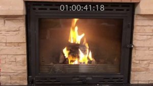 Как горят топливные брикеты RUF (береза)