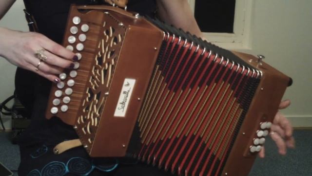 La paire de Saulxures - Sylvain Butté - accordeon смотреть онлайн