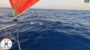 ЯХТИНГ: застрял якорь! 600 миль на яхте. Наш парусный катамаран несется из Италии в Грецию. Часть 1