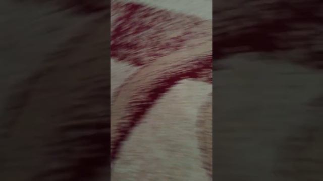 милый ролик про Соню чем либо заниматься моя кошка рожу ля смотреть онлайн