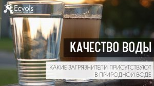 Как проверить качество воды и какие загрязнители присутствуют в природной воде