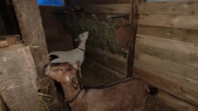 Об этом я и мечтала, без этого никак 😁 ПОКУПКИ смотреть онлайн