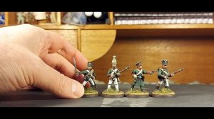 Napoleonic Miniatures