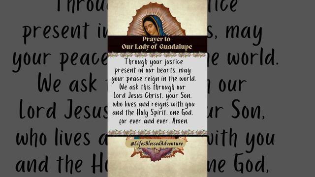 🙏 A Prayer to Our Lady of Guadalupe | December 12 Feast Day || Prayer of the Day 🙏 #prayers #fyp