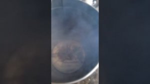 Электрическая коптильня из стиральной машины