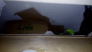 Кладовка потолок