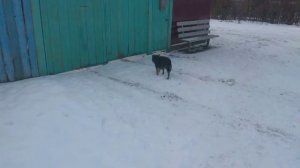 с Новоникольское.