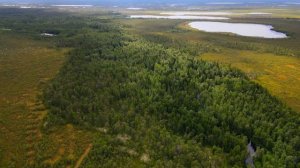 Западная Сибирь. В поисках старых карьеров...