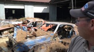 Barn Finds - 56 Classic Mustangs Discovered in Woods in Louisiana