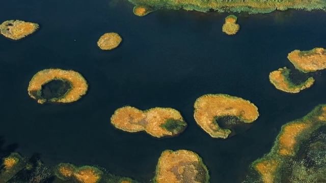 ЧТО ТАКОЕ ЗАПОВЕДНИК смотреть онлайн