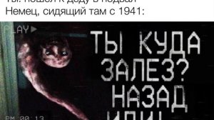 Зря я туда полез 2 @TheKotBegemotWorld #мемы #тикток #страшилки