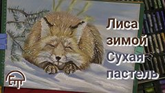 Лиса зимой. Сухая пастель.