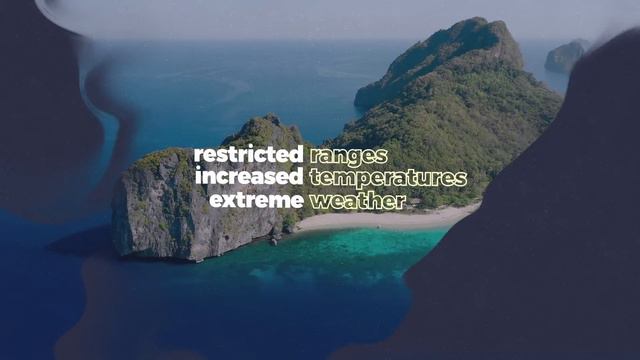 Biodiversity is collapsing worldwide. Here's why. смотреть онлайн