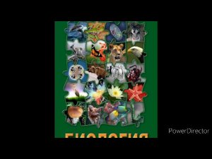 #22 Класс двудольные. Семейство паслёновые. Биология 7 кл.