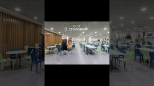 Типичный день в школе #рофл #мем #школа #котики