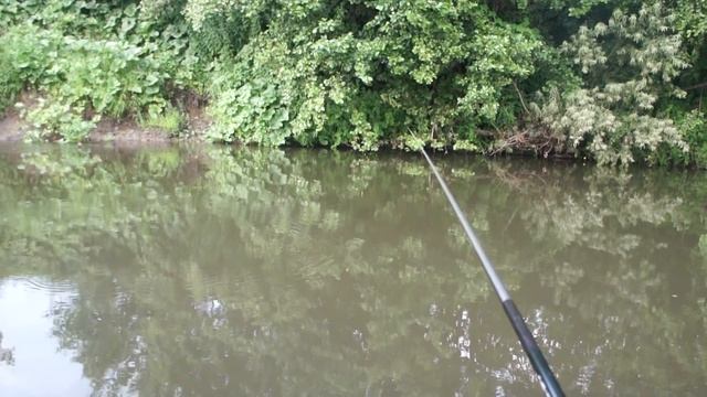 Fish-Point.ru Ловля плотвы смотреть онлайн